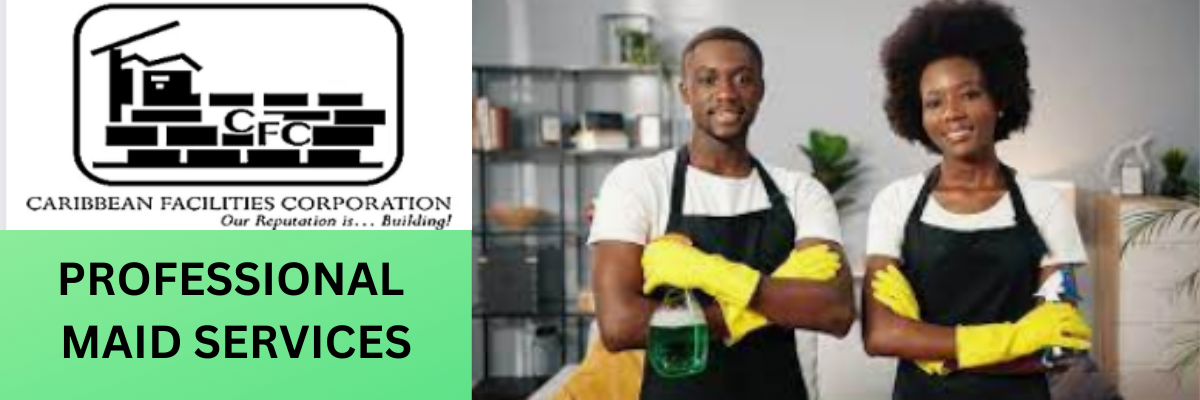 PROFESSIONAL MAID SERVICES