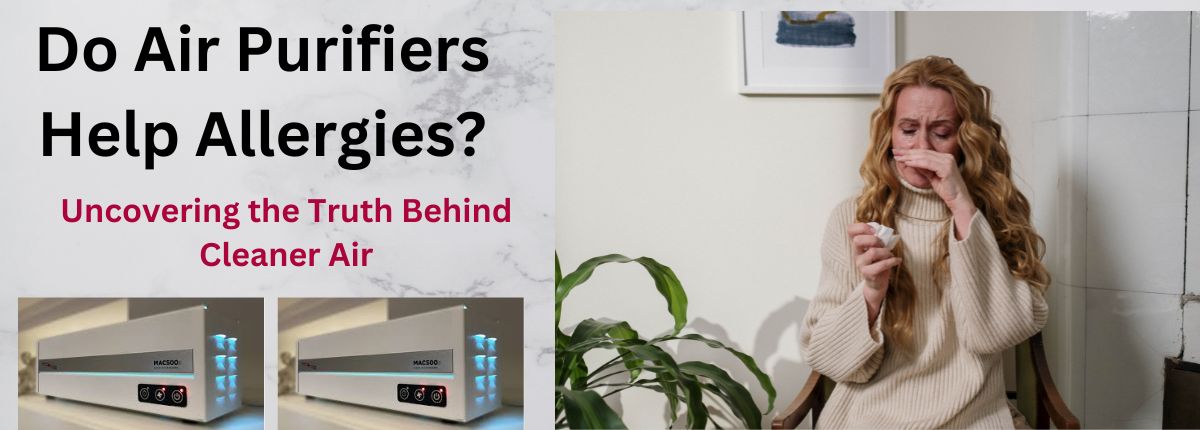 Do Air Purifiers Help Allergies?