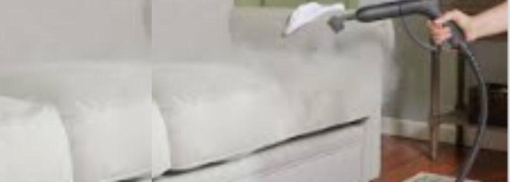 carpet steam cleaner on your furtures